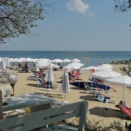 Daire Apartament
